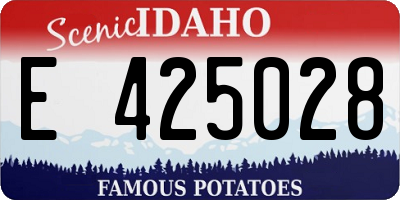 ID license plate E425028