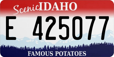 ID license plate E425077