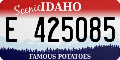ID license plate E425085