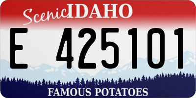 ID license plate E425101