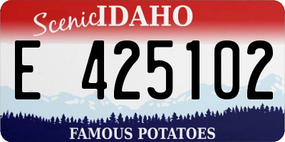 ID license plate E425102
