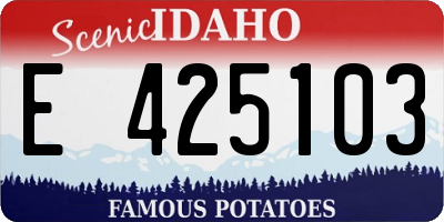 ID license plate E425103