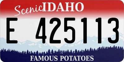 ID license plate E425113