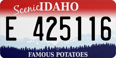 ID license plate E425116