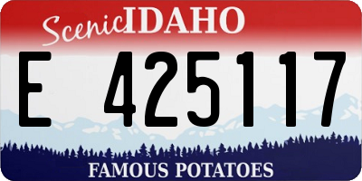 ID license plate E425117