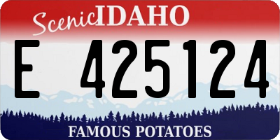 ID license plate E425124