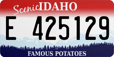 ID license plate E425129