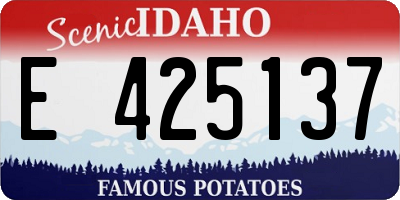 ID license plate E425137
