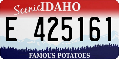 ID license plate E425161