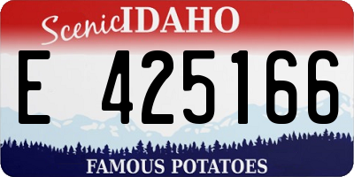 ID license plate E425166