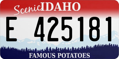ID license plate E425181