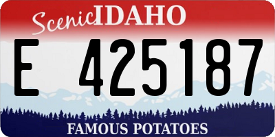 ID license plate E425187