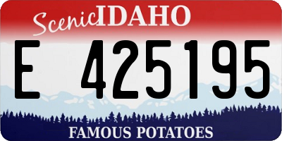 ID license plate E425195