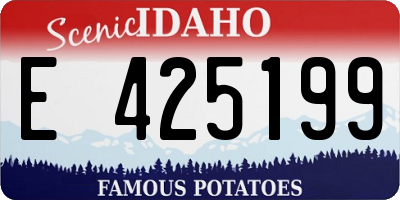 ID license plate E425199