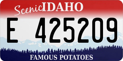 ID license plate E425209