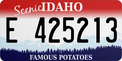 ID license plate E425213
