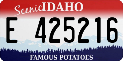 ID license plate E425216