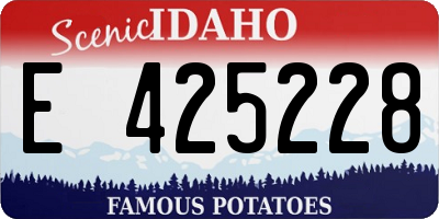 ID license plate E425228