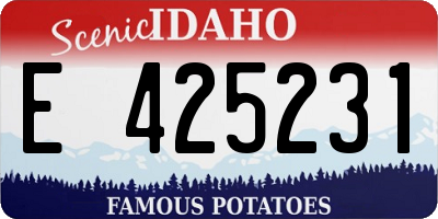 ID license plate E425231
