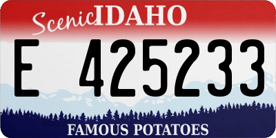 ID license plate E425233
