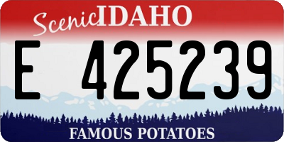 ID license plate E425239