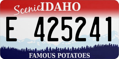 ID license plate E425241