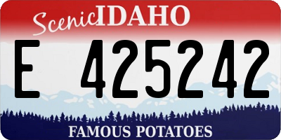 ID license plate E425242