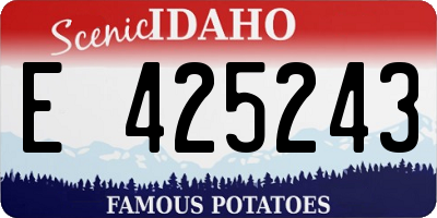 ID license plate E425243
