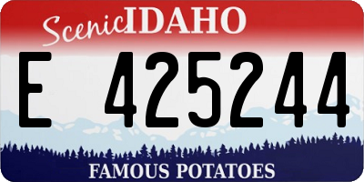 ID license plate E425244