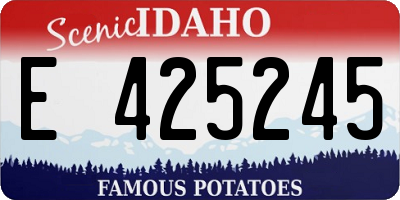 ID license plate E425245