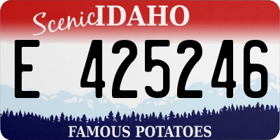ID license plate E425246