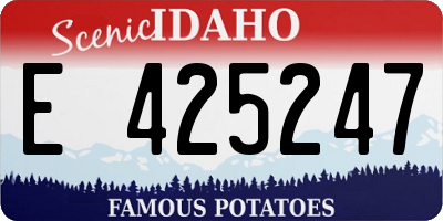 ID license plate E425247