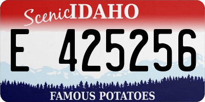 ID license plate E425256