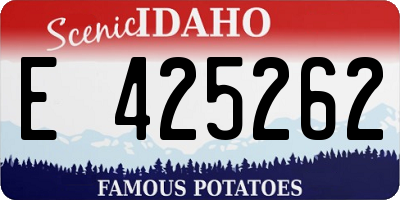 ID license plate E425262