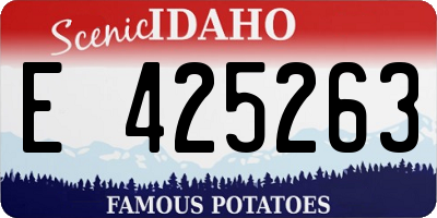 ID license plate E425263