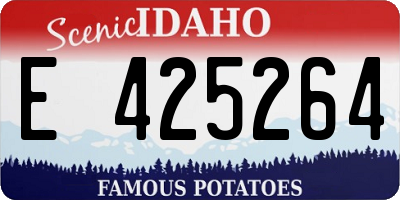 ID license plate E425264