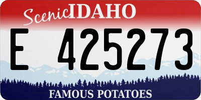 ID license plate E425273