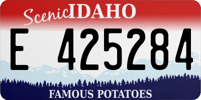 ID license plate E425284