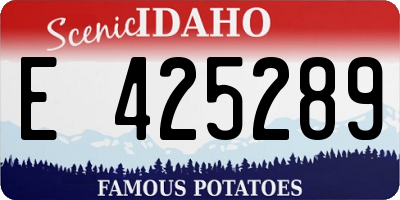 ID license plate E425289
