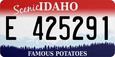 ID license plate E425291