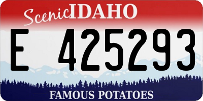 ID license plate E425293