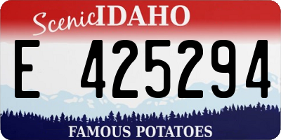 ID license plate E425294