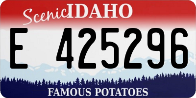 ID license plate E425296