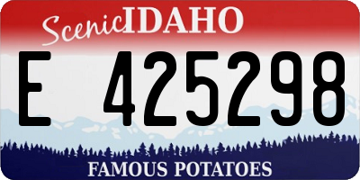 ID license plate E425298