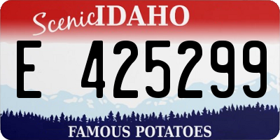 ID license plate E425299