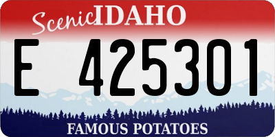 ID license plate E425301