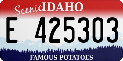 ID license plate E425303