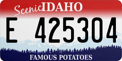 ID license plate E425304