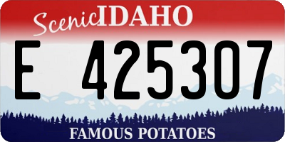 ID license plate E425307