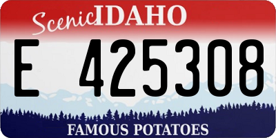 ID license plate E425308